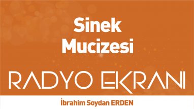 Sinek Mucizesi